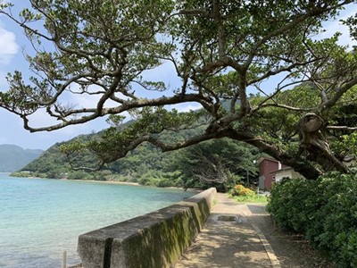 【奄美大島の旅行記ブログ】青い海とのんびりした自然に癒される【一人旅】