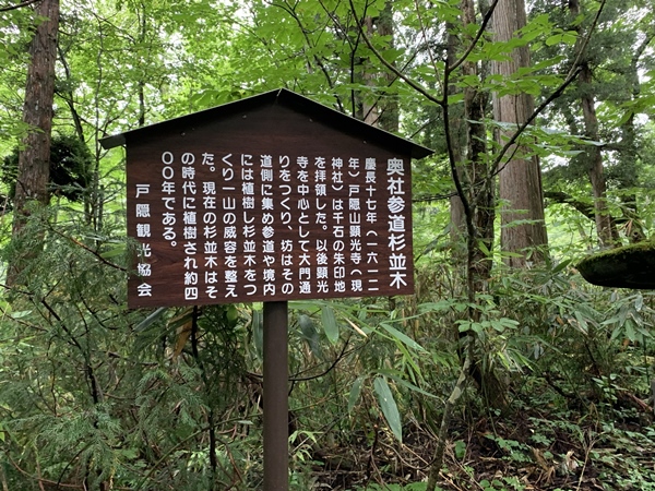 杉並木の説明板