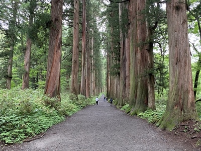 【戸隠神社の観光ブログ】大きな杉並木が神秘的！戸隠そばに舌鼓を打つ