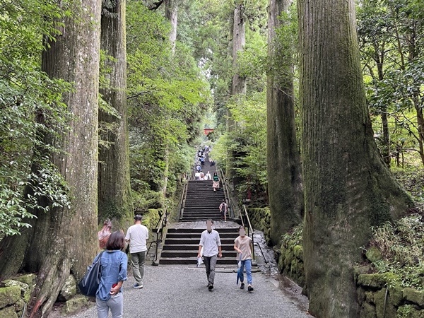 箱根神社本堂への階段